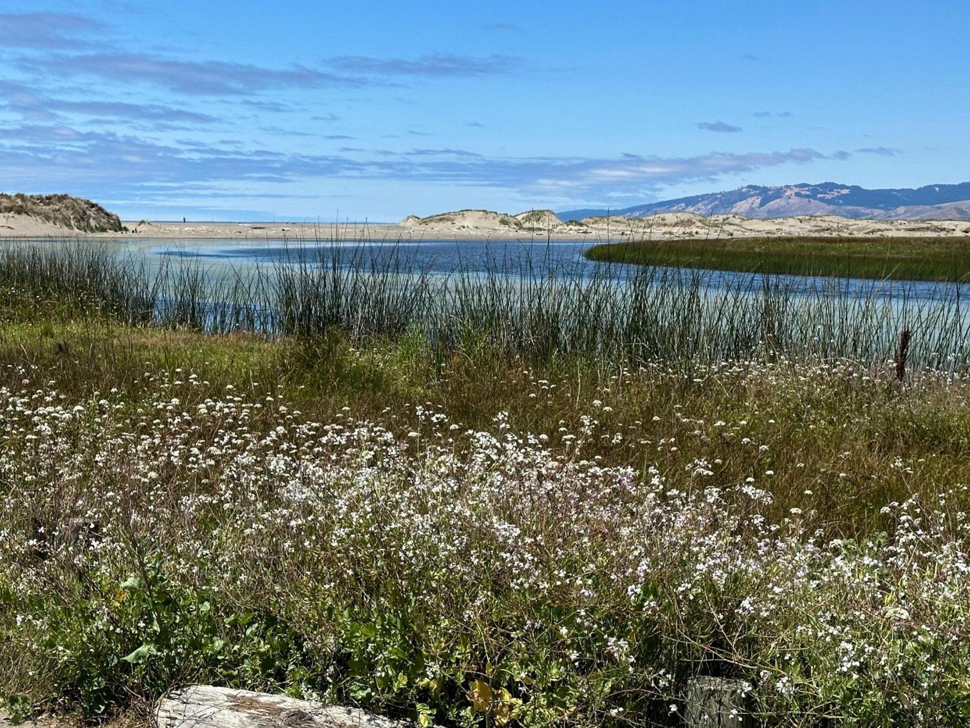 Nature Lover'S Paradise Just Steps To Beach And Dogs Are Welome Villa Bodega Bay Exterior photo