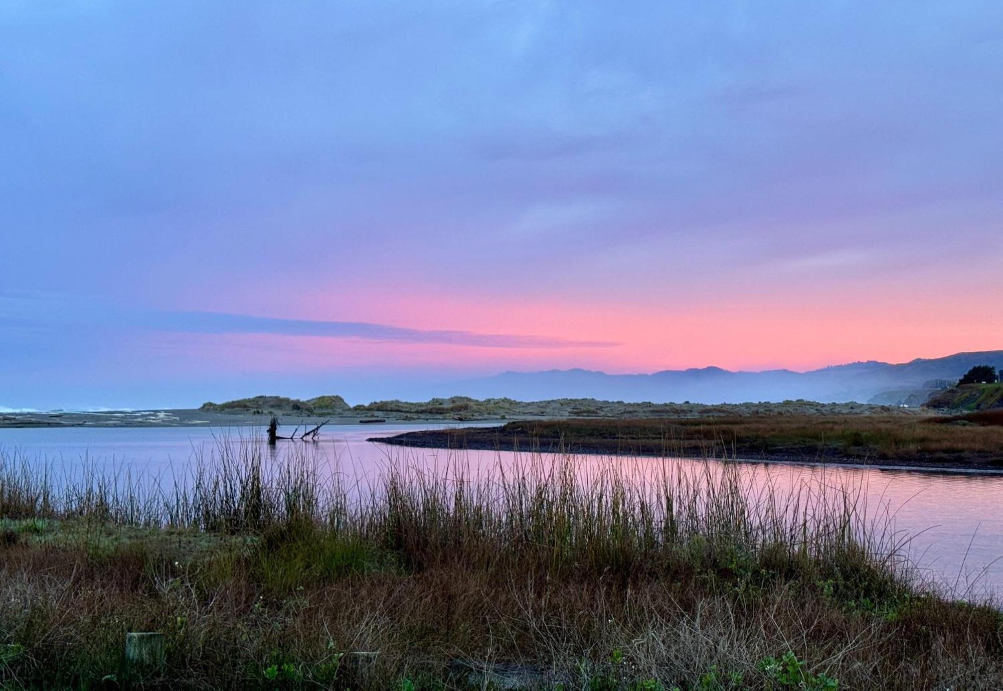 Nature Lover'S Paradise Just Steps To Beach And Dogs Are Welome Villa Bodega Bay Exterior photo